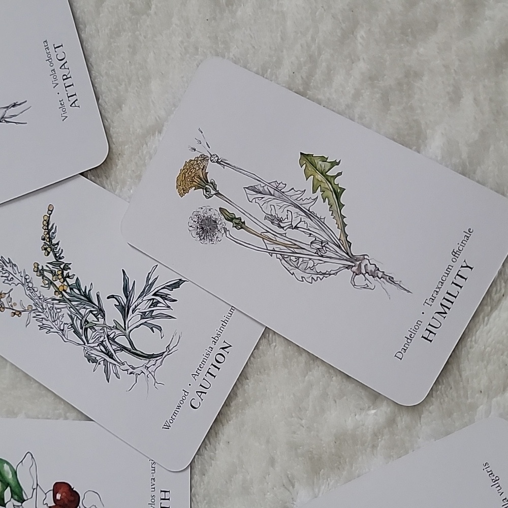 Hedgewitch Botanical Oracle - Picture 5 of 10